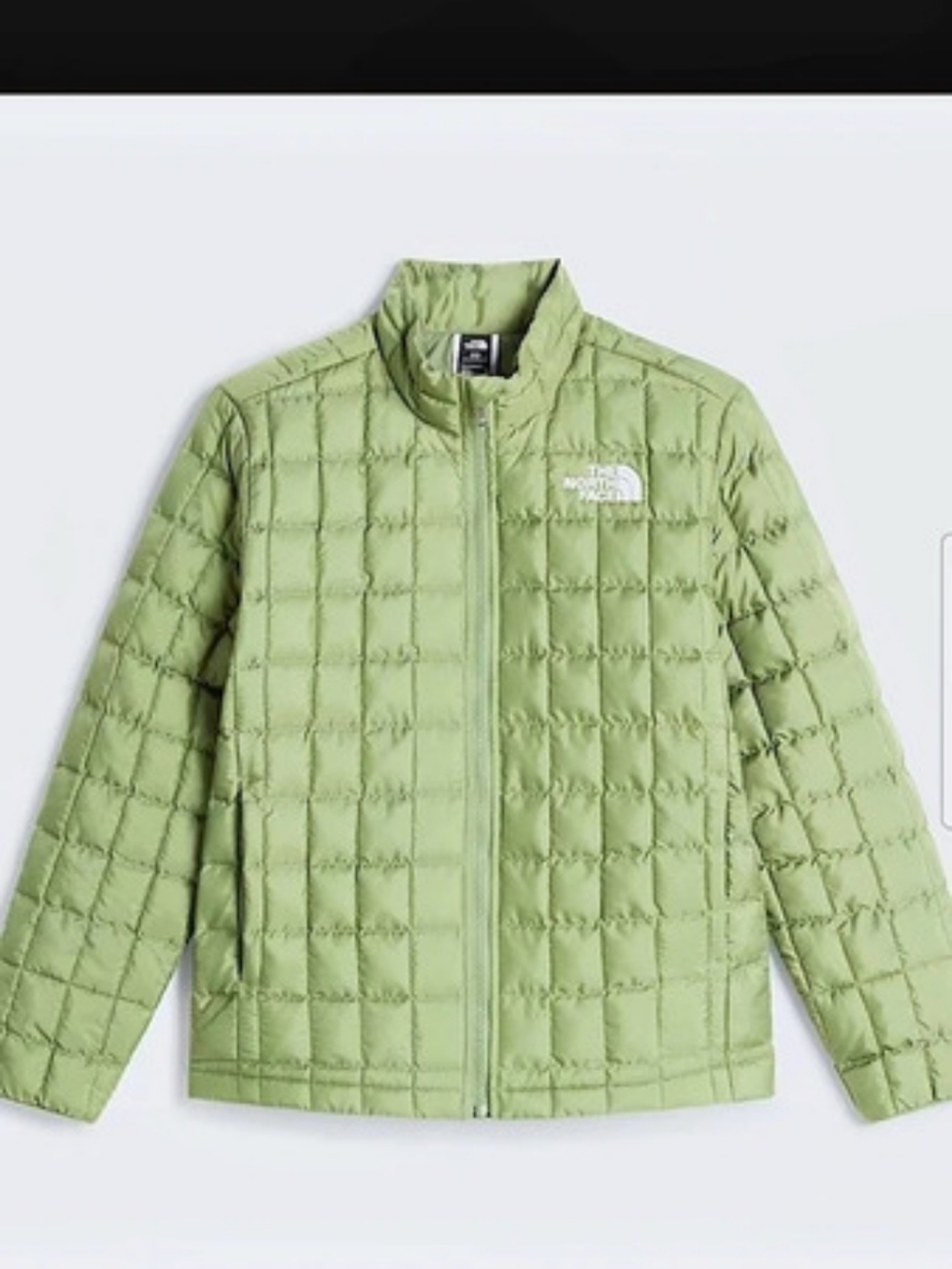 Sale: The North Face Eco Jacket